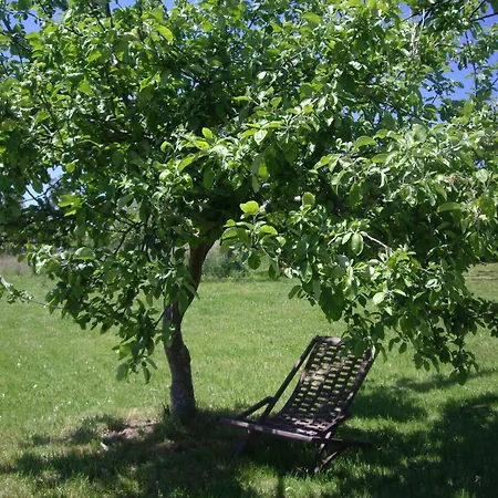 B&B Casa Torreteyera