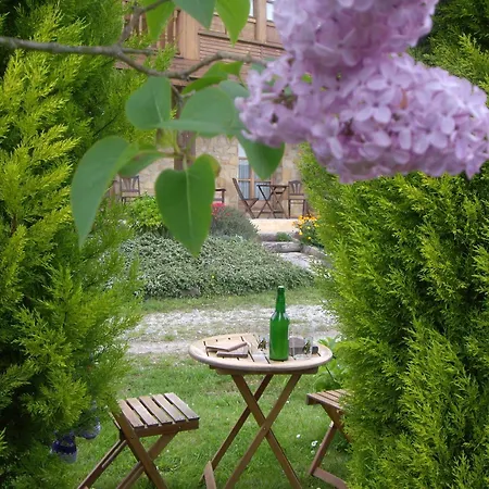 B&B Casa Torreteyera 비야비시오사