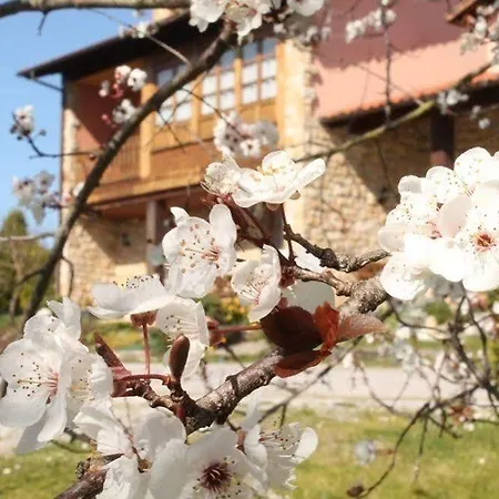 Nocleg ze śniadaniem Casa Torreteyera