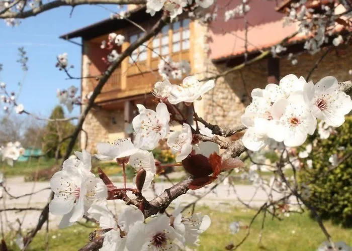 Nocleg ze śniadaniem Casa Torreteyera